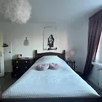 Stylish Room City Central - For Women